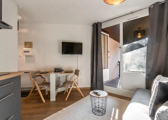 Apartment Lachenal - Centre - Navette De - Balcon